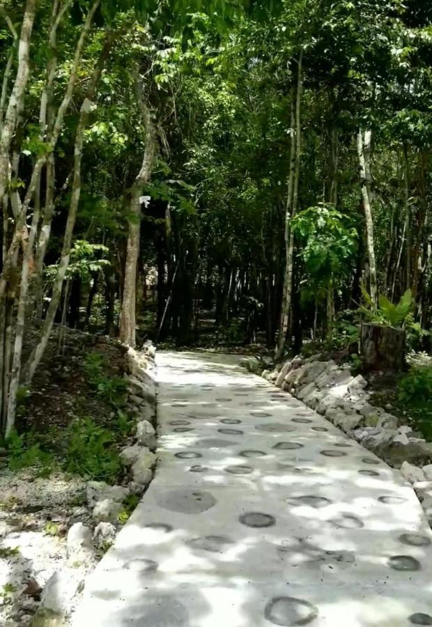 Hotel Cabanas Aldea Maya Xpujil Dış mekan fotoğraf