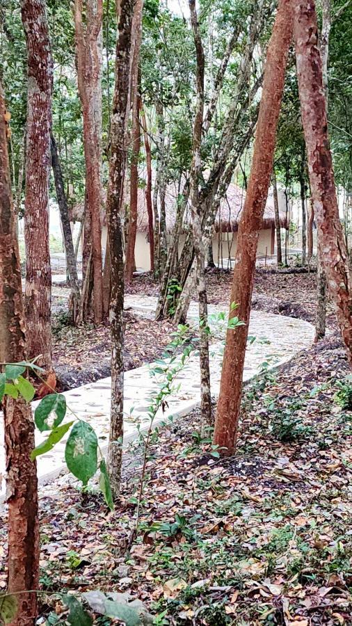 Hotel Cabanas Aldea Maya Xpujil Dış mekan fotoğraf